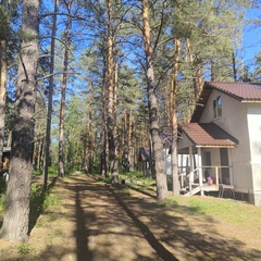 Загородный комплекс Лес, Самарская область