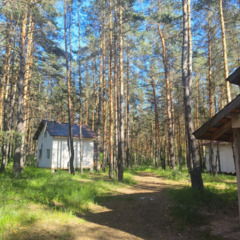 Загородный комплекс Лес, Самарская область