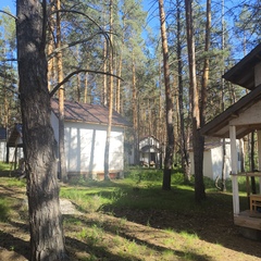 Загородный комплекс Лес, Самарская область