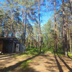 Загородный комплекс Лес, Самарская область