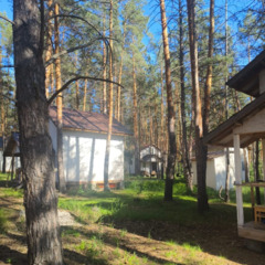 Загородный комплекс Лес, Самарская область