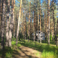Загородный комплекс Лес, Самарская область