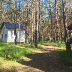 Загородный комплекс Лес, Самарская область