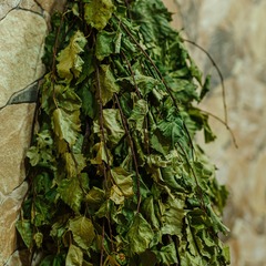 База отдыха Сойотка, Республика Хакасия