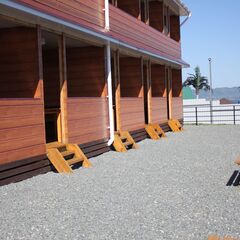 Гостевой дом РыжийКит, Приморский край