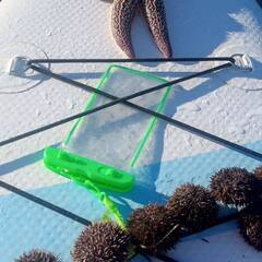 Гостевой дом РыжийКит, Приморский край