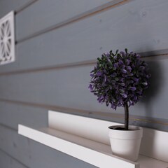 База отдыха Лиса, Новгородская область