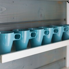 База отдыха Лиса, Новгородская область