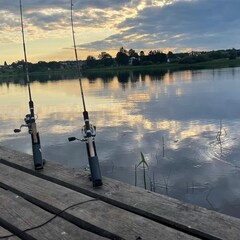 База отдыха Лиса, Новгородская область