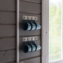 База отдыха Лиса, Новгородская область