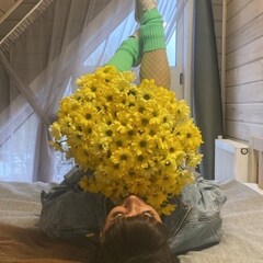 База отдыха Лиса, Новгородская область