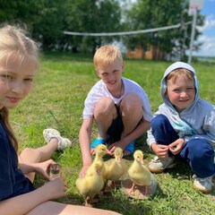 База отдыха Лиса, Новгородская область