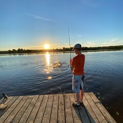 База отдыха Лиса, Новгородская область