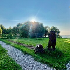 База отдыха Лиса, Новгородская область