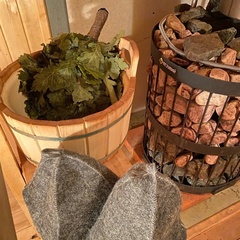 База отдыха Лиса, Новгородская область