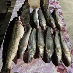 Гостевой дом Фортуна, Архангельская область