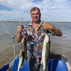 Гостевой дом Фортуна, Архангельская область