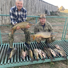 Гостевой дом Фортуна, Архангельская область