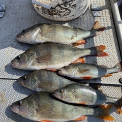 Гостевой дом Фортуна, Архангельская область