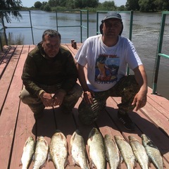 Гостевой дом Фортуна, Архангельская область