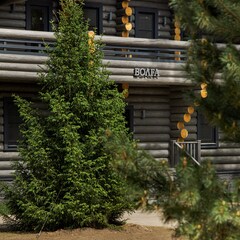 Загородный комплекс Arkhangelskoye Banya Resort, Московская область