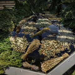 Загородный комплекс Arkhangelskoye Banya Resort, Московская область