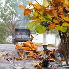 Глэмпинг Мандала Кумба, Свердловская область