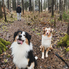 База отдыха Хютте, Пермский край