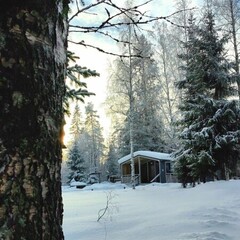 Загородный клуб Стеклянный, Ленинградская область
