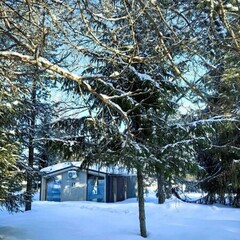 Загородный клуб Стеклянный, Ленинградская область