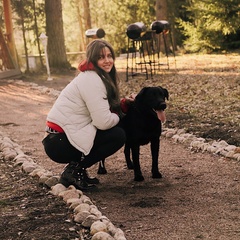 База отдыха Vyritsa Village, Ленинградская область