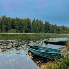 База отдыха Vyritsa Village, Ленинградская область