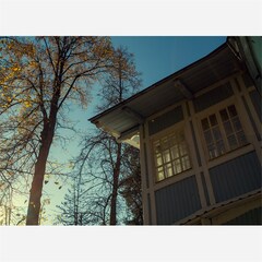 База отдыха Vyritsa Village, Ленинградская область