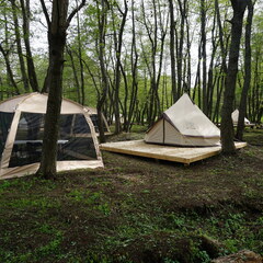 Кемпинг  Горки-Лох, Саратовская область