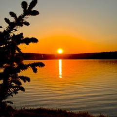 Глэмпинг Речное поместье , Пермский край