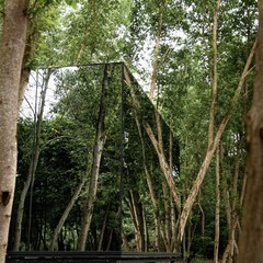 Загородный клуб Лес, Ставропольский край