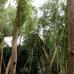 Загородный клуб Лес, Ставропольский край