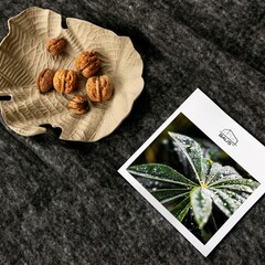 Загородный клуб Лес, Ставропольский край