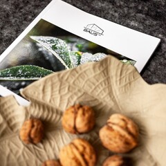 Загородный клуб Лес, Ставропольский край