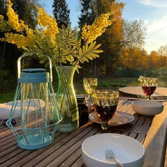 Глэмпинг Vlesu, Московская область