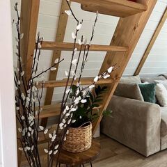 Глэмпинг Vlesu, Московская область