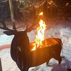 Глэмпинг Vlesu, Московская область