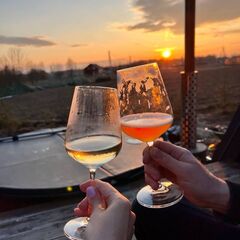 Глэмпинг Vlesu, Московская область