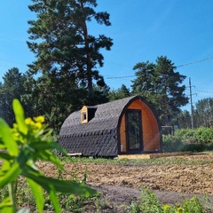 Кемпинг  Лес, Курганская область