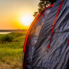 Кемпинг  Лес, Курганская область