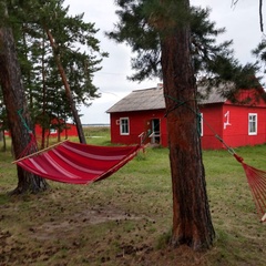 Кемпинг  Лес, Курганская область