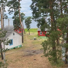 Кемпинг  Лес, Курганская область