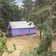 Кемпинг  Лес, Курганская область