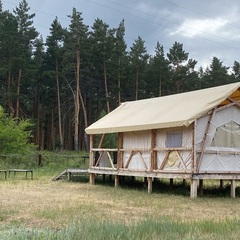 Кемпинг  Лес, Курганская область