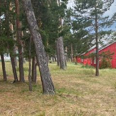 Кемпинг  Лес, Курганская область